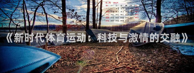 中欧中证A500指数量化增强A：《新时代体育运动：科技与激情的交融》