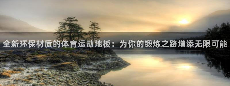 中欧全面投资协定：全新环保材质的体育运动地板：为你的锻炼之路增添无限可能