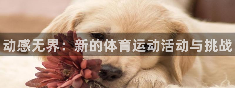 中欧列车途经哪些地方：动感无界：新的体育运动活动与挑战