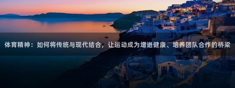 中欧先进制造股票a