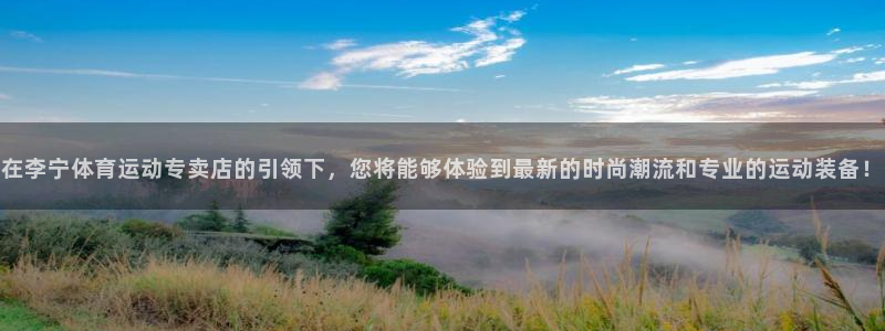 中欧新蓝筹混合A(166002)