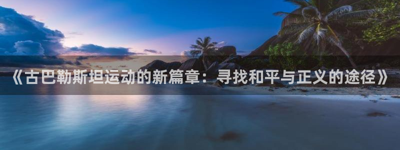 中欧关系定位：《古巴勒斯坦运动的新篇章：寻找和平与正义的途径》