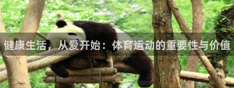 中欧医疗健康混合基金 c：健康生活，从爱开始：体育运动的重要性与价值