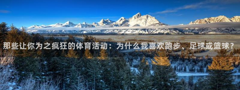 中欧MiM课程