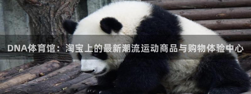 中欧emba花钱就能上吗：DNA体育馆：淘宝上的最新潮流运动商品与购物体验中心